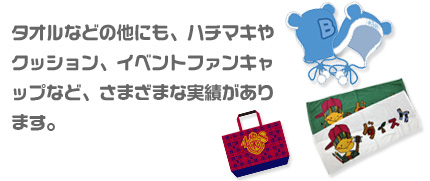 さまざまな実績